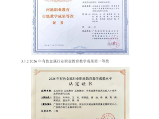 教学成果类奖项