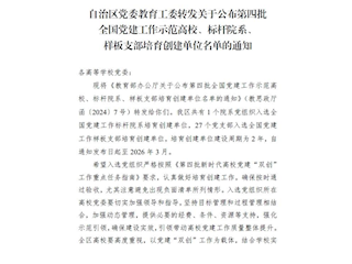 党建思政类奖项