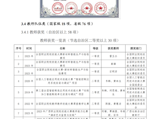 教师队伍类奖项